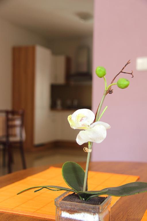 Vila Dravce Bilik gambar