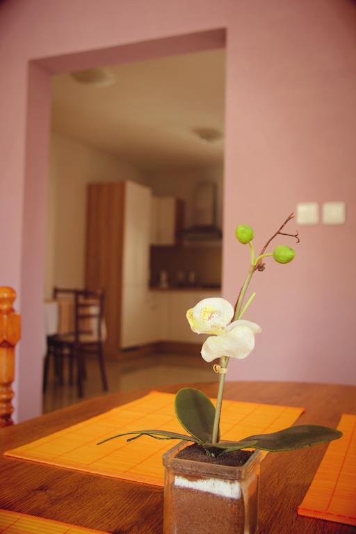 Vila Dravce Luaran gambar